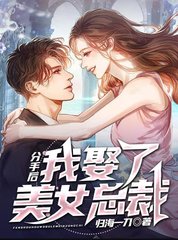 分手后我娶了美女总裁