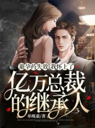 避孕药失效我怀上了亿万总裁的继承人(单晚嘉) - 避孕药失效我怀上了亿万总裁的继承人全文在线阅读 - 避孕药失效我怀上了亿万总裁的继承人最新章节 - 奏决网