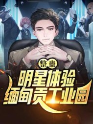 整蛊明星体验缅甸贡工业园