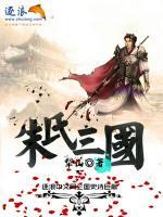 朱氏三国(朱符陈到) - 朱氏三国全文在线阅读 - 朱氏三国最新章节 - 奏决网