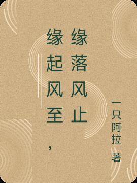 缘起风至，缘落风止