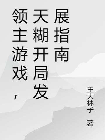 领主游戏，天糊开局发展指南
