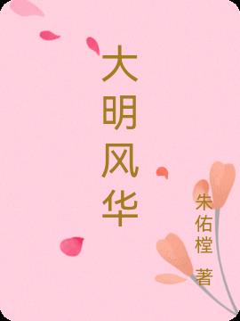 大明风华